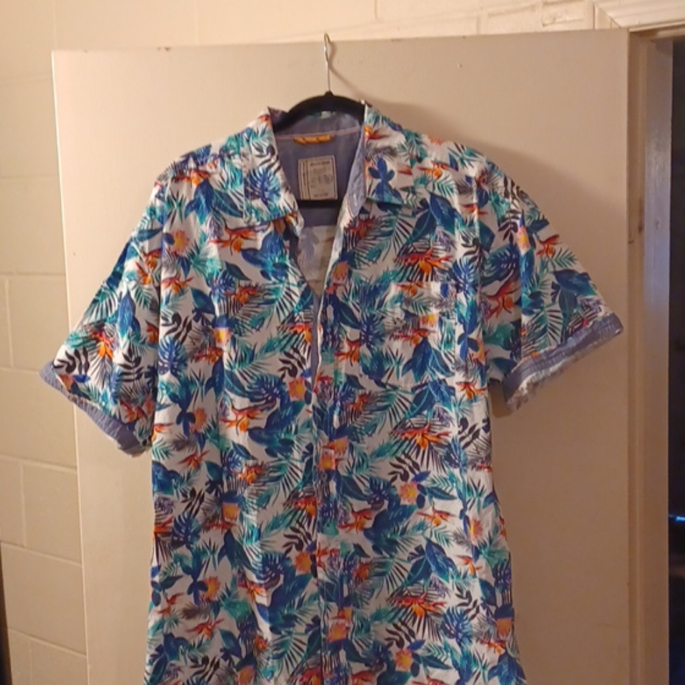 Shirts - Picture 3 of 5